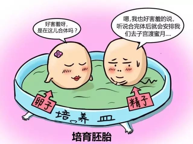 试管婴儿,俄罗斯试管,俄罗斯代孕是否合法