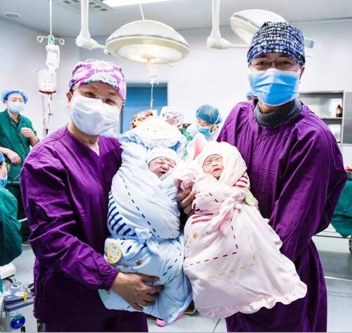 试管婴儿,避免胎儿畸形,体外受精,胚胎移植