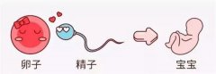 单身女性可以去俄罗斯做试管婴儿吗？