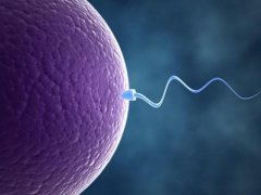 男性无精症可以通过试管婴儿生孩子吗