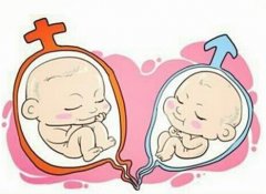 试管婴儿是怀单胎好，还是双胎好？