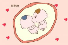 通过试管婴儿助孕生的双胞胎长得一模一样吗