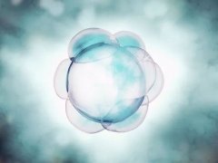 造成试管婴儿治疗过程中受精异常的原因有哪些