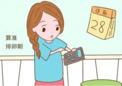 女性排卵期身体有哪些变化 如何判断排卵期