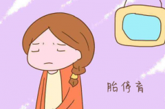 试管婴儿移植成功后如何预防胎停育