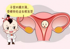 子宫内膜过薄影响试管移植 我们要如何保养子宫