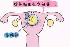 备孕前六个方法可以提高女性卵子质量