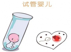 试管婴儿移植后成功率会受到哪些因素的影响