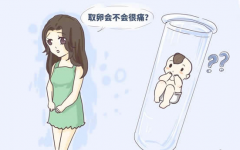试管婴儿取卵前后要注意哪些事项