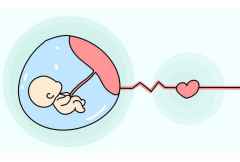 试管婴儿成功率有多少？