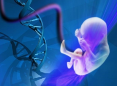 俄罗斯试管婴儿前期检查流程是什么？