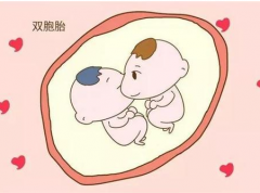试管婴儿双胞胎全过程是怎样的？