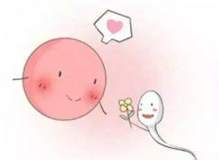 试管婴儿胚胎移植之后可以正常上班吗？