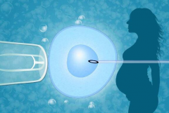 试管婴儿为什么有人失败有人成功，其中这些细节做到位就非常重要