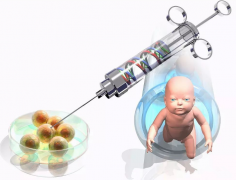 俄罗斯试管婴儿助孕成功率有多少？