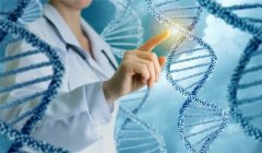 第三代试管成功率有多少？要如何提高试管婴儿成功率？