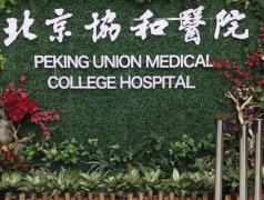 北京试管婴儿医院天伦医院v