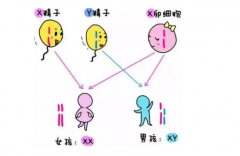 旺丁试管——“社恐”人士怎么去选择试管？完成生儿育女梦！