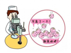 试管婴儿取卵个数